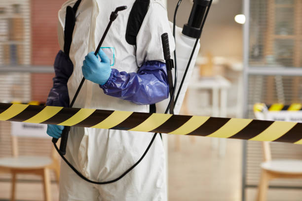 Professional Sewage Cleanup technician working in Hudson, CO